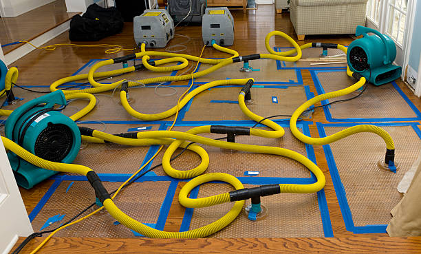 Professional Crawl Space Water Removal technician working in Flint, MI