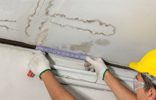 Affordable Water Damage Repair solutions in Flint, MI
